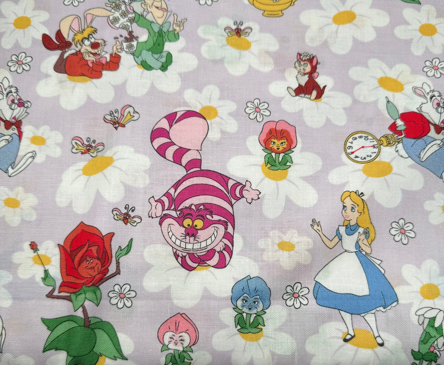 Alice and Friends among the daisies