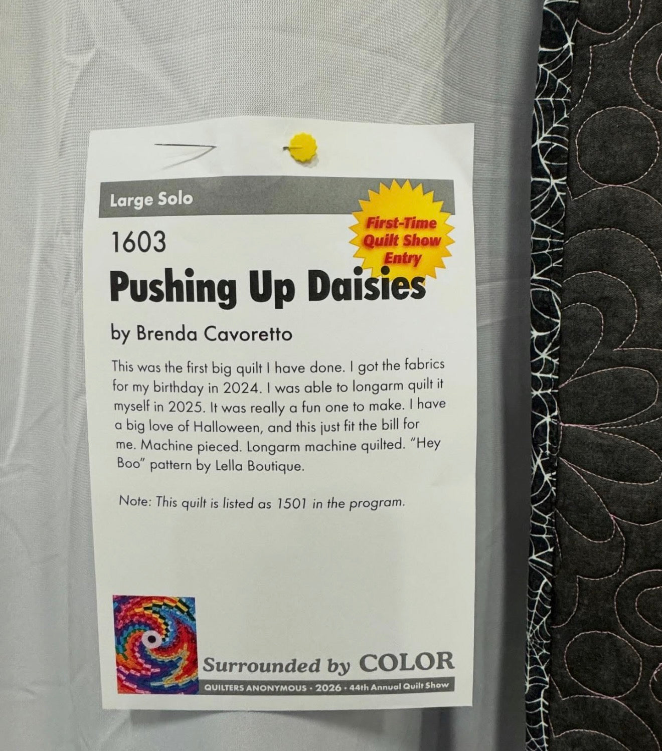 Pushing up Daisy’s
